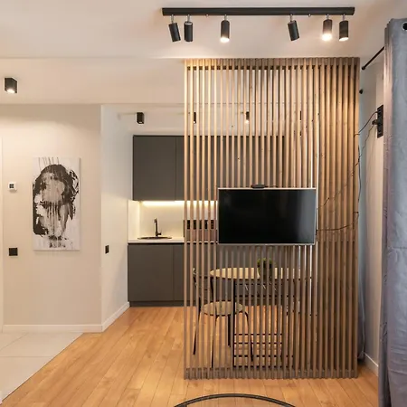 Apartment In The Old Town Vilnius